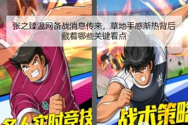 张之臻温网备战消息传来，草地手感渐热背后藏着哪些关键看点